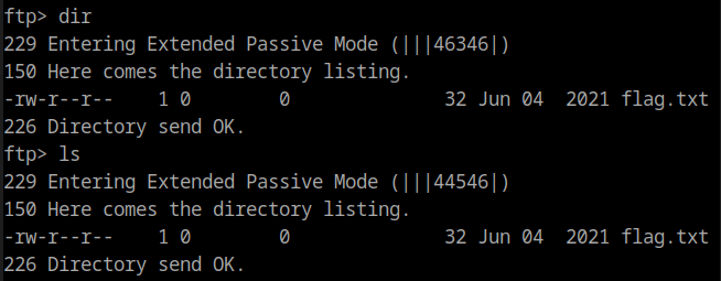 running dit in a ftp session from shell